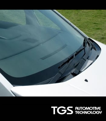 TGS カーボンフロントガーニッシュカバー FG401A
