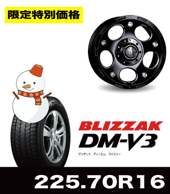 限定特価!ライカン&DM-V3 225/70R16セット 限定特価!ライカン&DM-V3 225/70R16セット